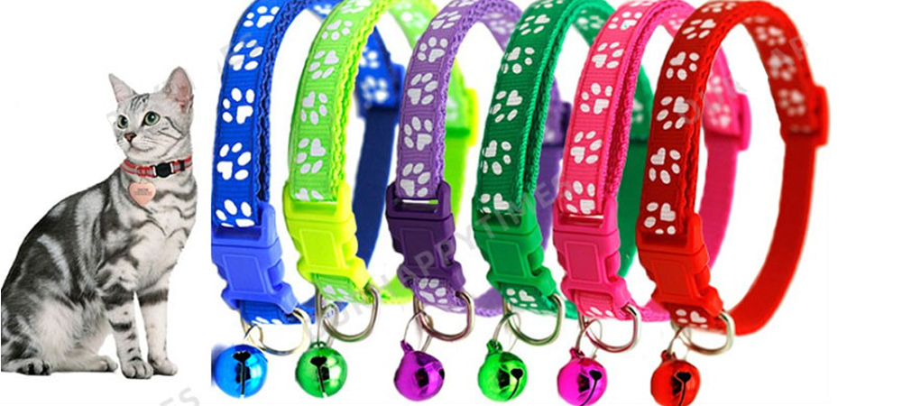 supporting surge of pet accessories - Custom Pet Accessories - Optamark
